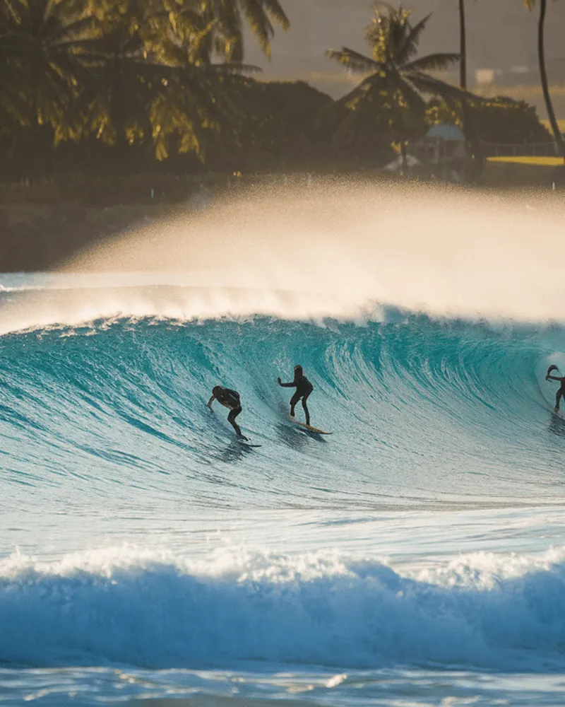 Compétition surf — Surf Guadeloupe